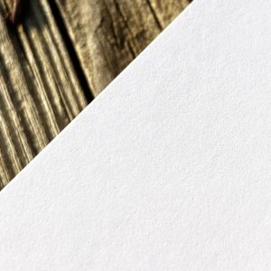 papie nautilius super white 2.webp